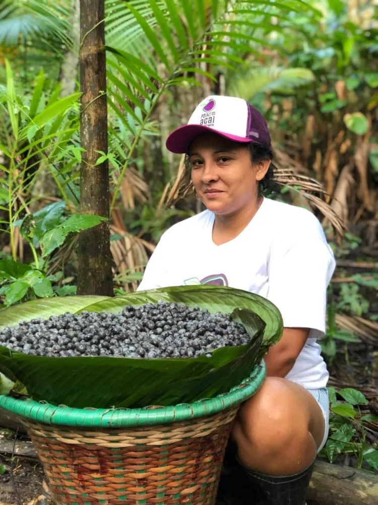 Point do Açaí anuncia experiência imersiva na Ilha do Combu e amplia atuação com novo mega espaço gastronômico e corporativo
