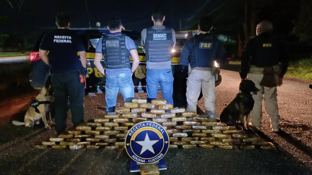Polícia Civil apreende 91 tabletes de skunk em Benevides
