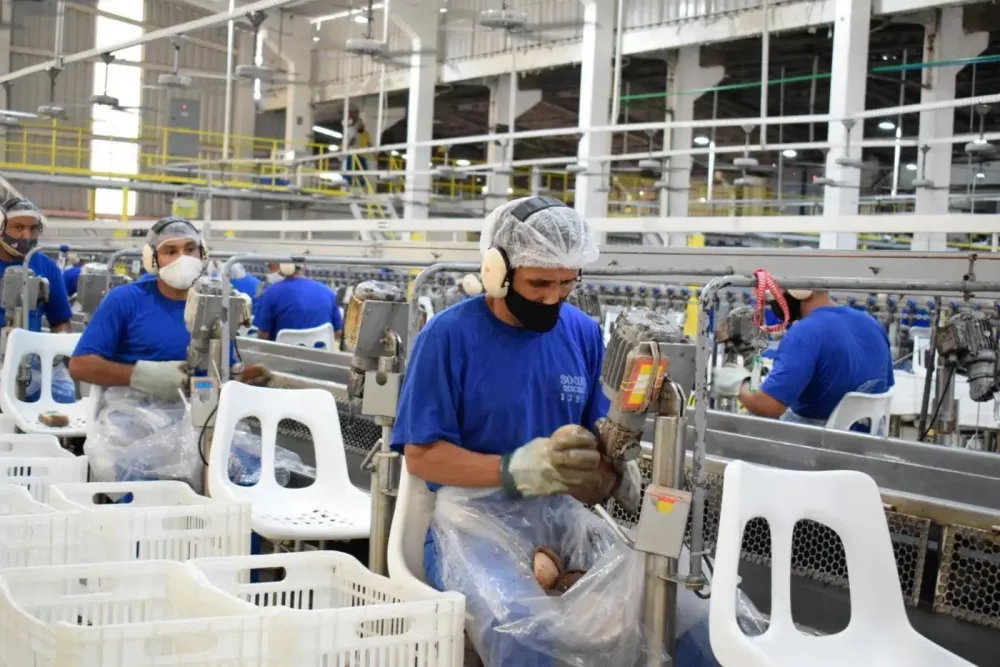 Pará lidera inserção de jovens no mercado de trabalho na região Norte